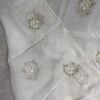 Viscose Organza Saree with Aari Zardozi Work